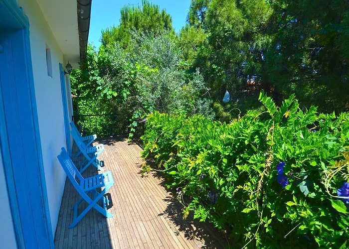 Jenny's House Otel 3*