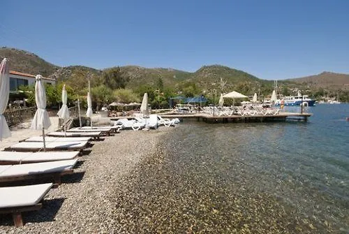 Otel Jenny's House 3*