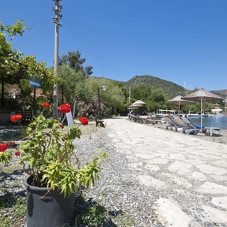 Jenny's House Hotel 3*