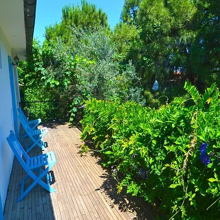 Jenny's House Hotel 3*