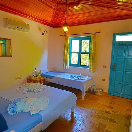 Jenny's House 3*