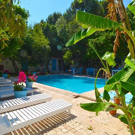 Jenny's House Hotel