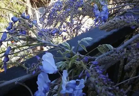 Jenny's House Hotel Selimiye (Aegean)