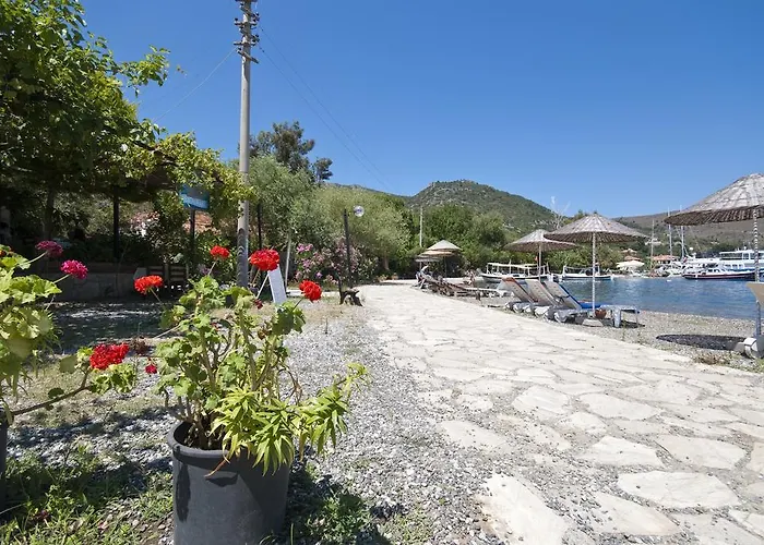 Jenny's House Hotel 3*