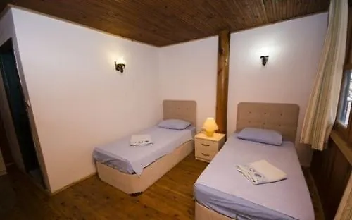 Jenny's House 3*