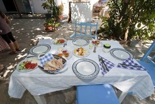 Отель Jenny's House 3*